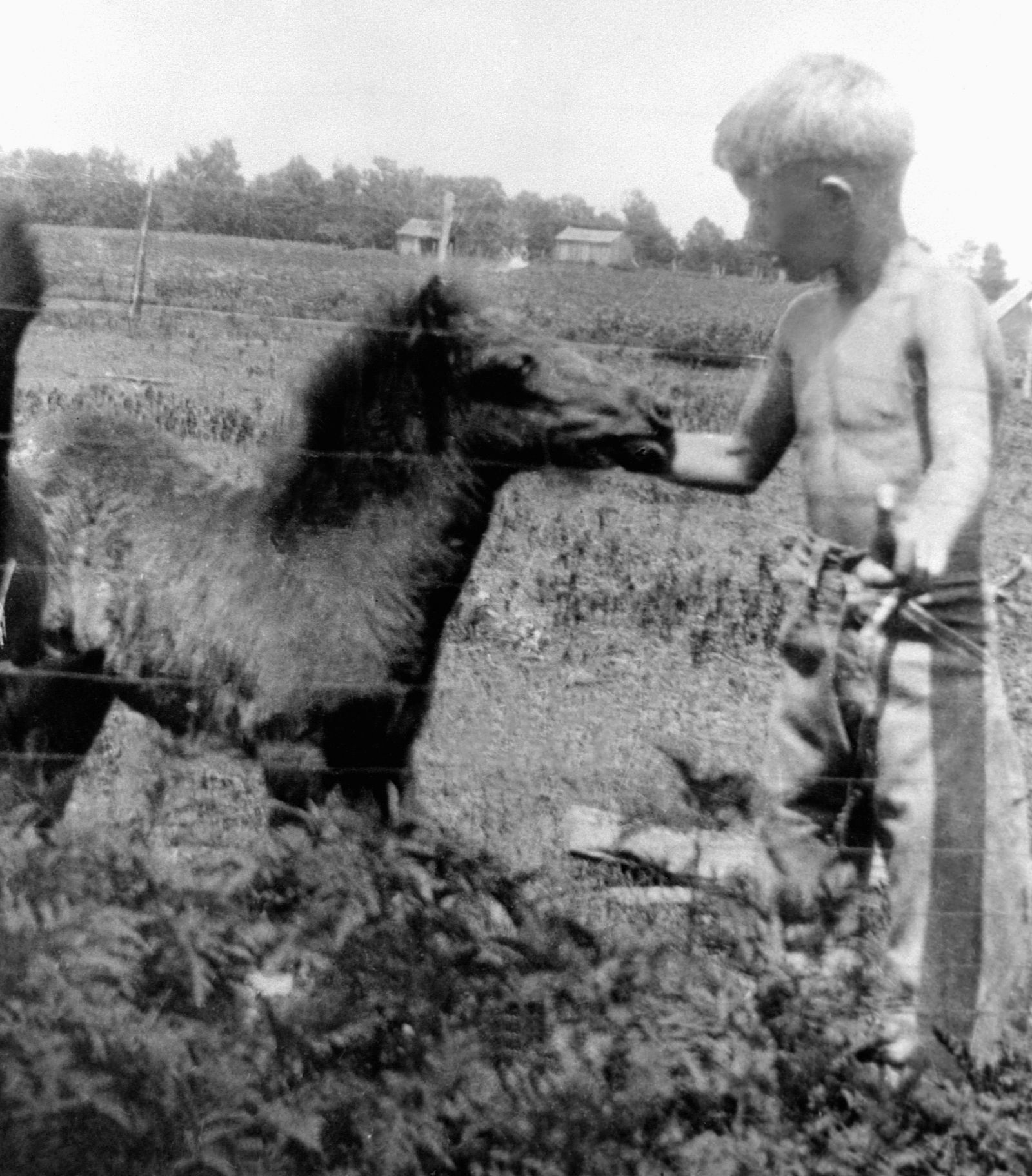 Jimmy Carter Jimmy Carter as a boy petting a colt in a field in Georgia