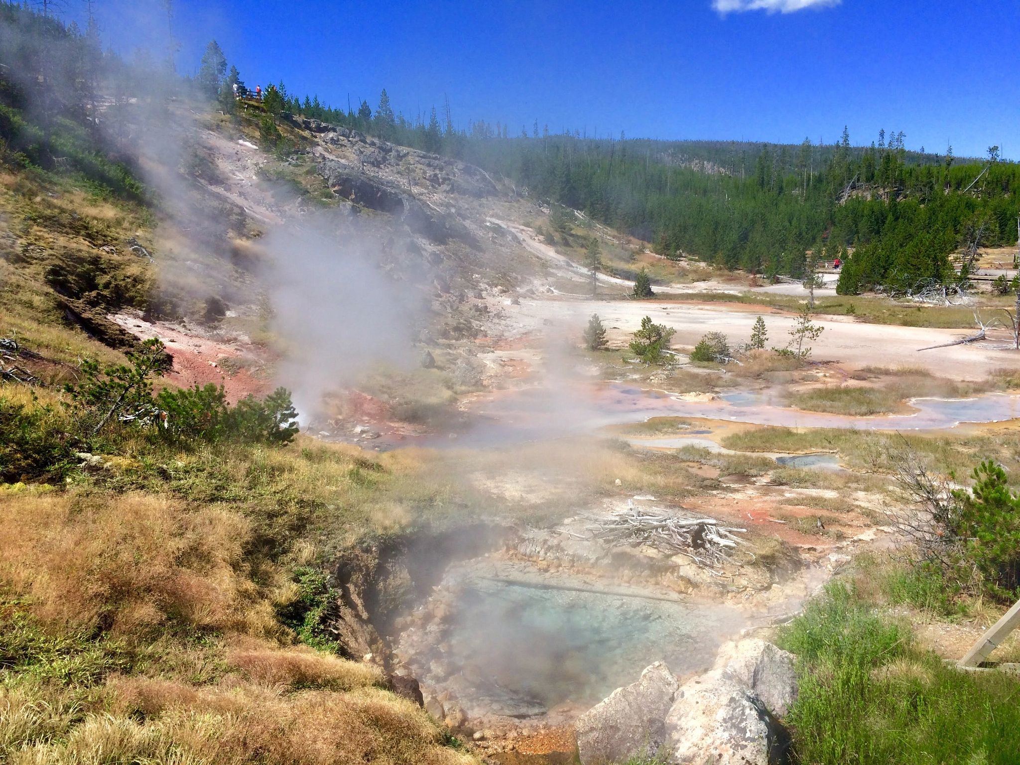 Destination experts yellowstone