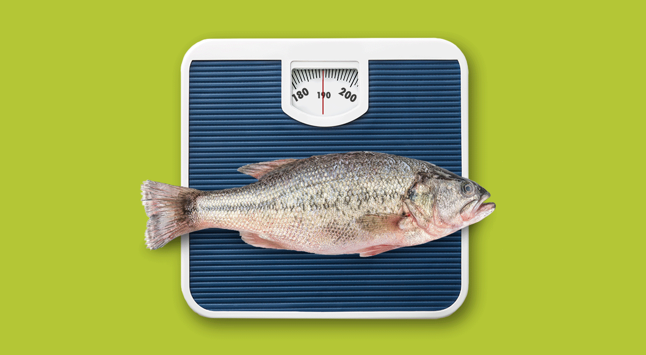 This Seafood Delight is a Weight Loss Wonder Aid