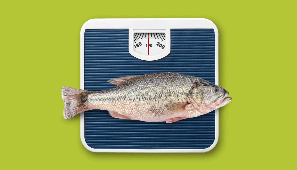 Fish Changing Weight This Seafood Delight is a Weight Loss Wonder Aid