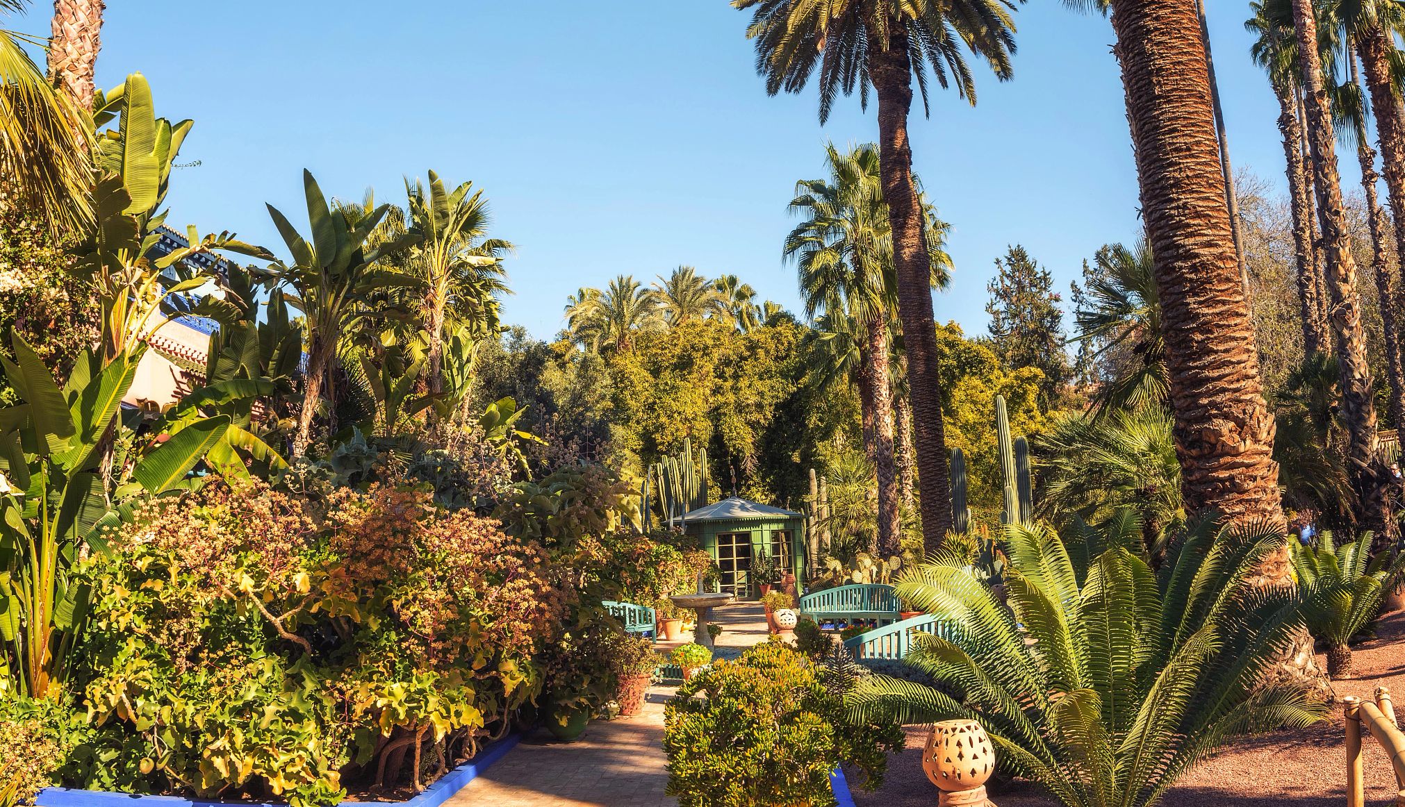 Botanical Gardens Cacti and palm trees