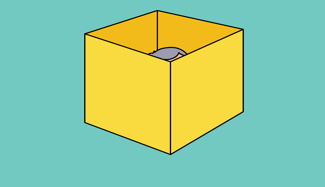Step Outside Your Comfort Zone a person sticking their head outside of a box