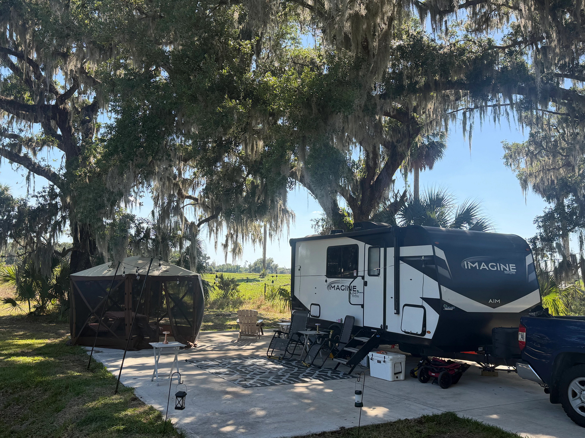 a black and white RV at a campsite