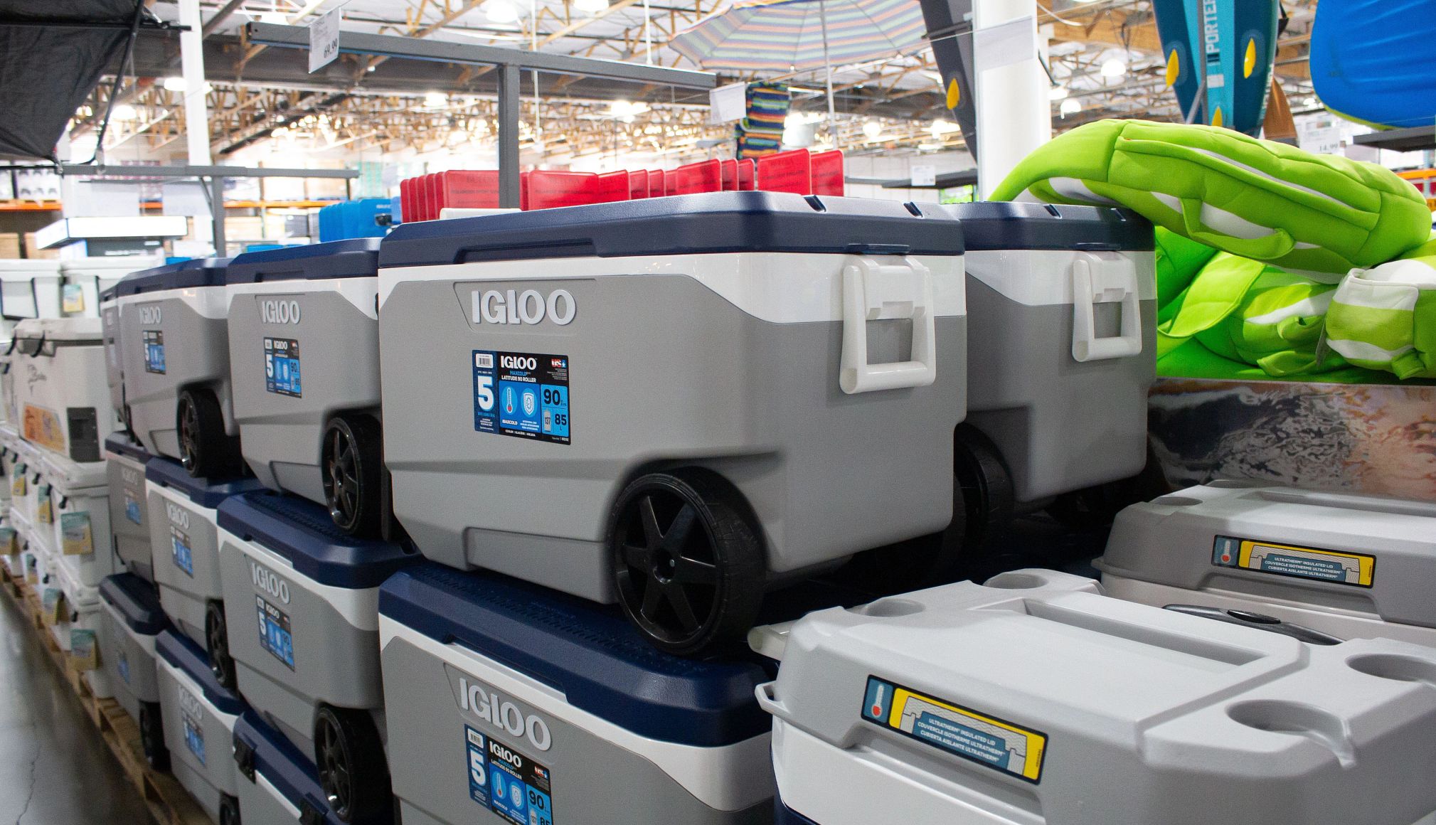 More igloo coolers recalled for handle defect, may sever fingertips