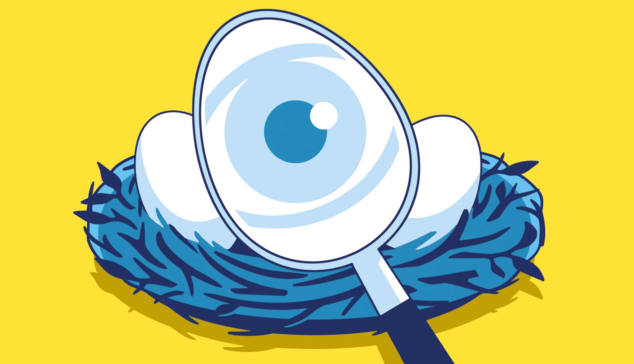 401(k) and IRA and Social Security Earnings Limit an eye in a magnifying glass over eggs in a nest
