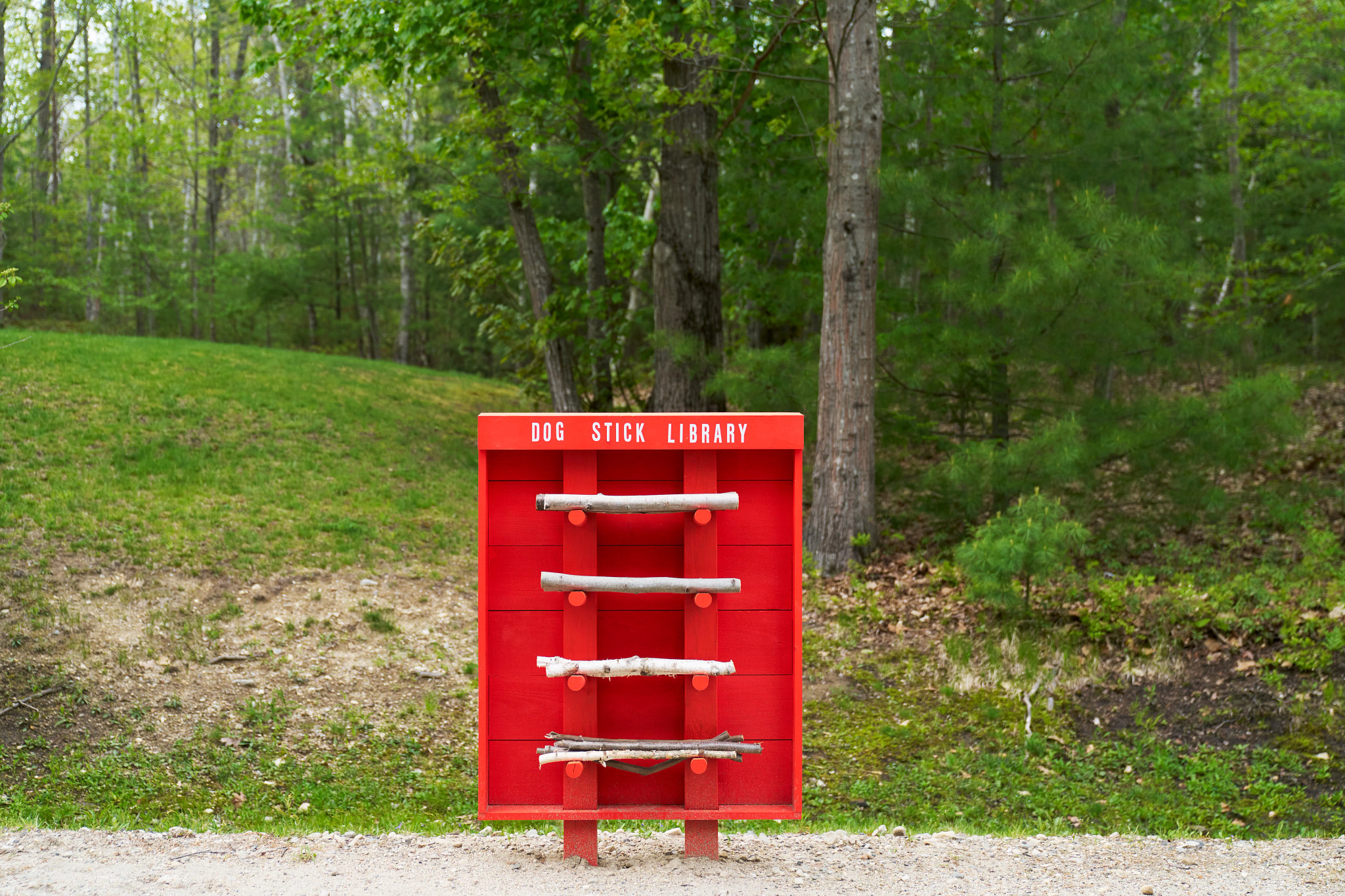 Bright red dog stick library holding several wooden sticks beside a forest path and grassy area