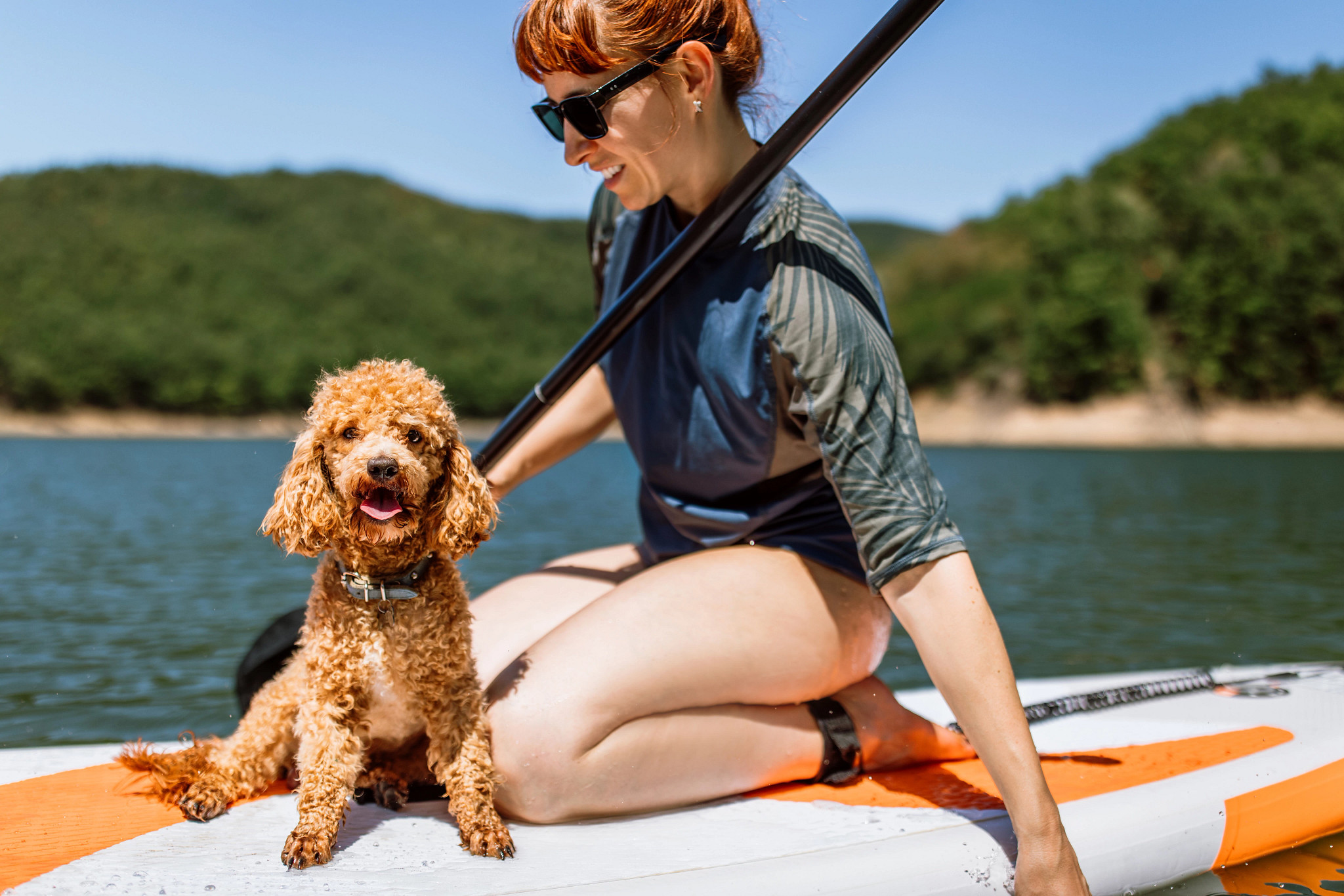 a dog sitting on a paddleboard with a woman