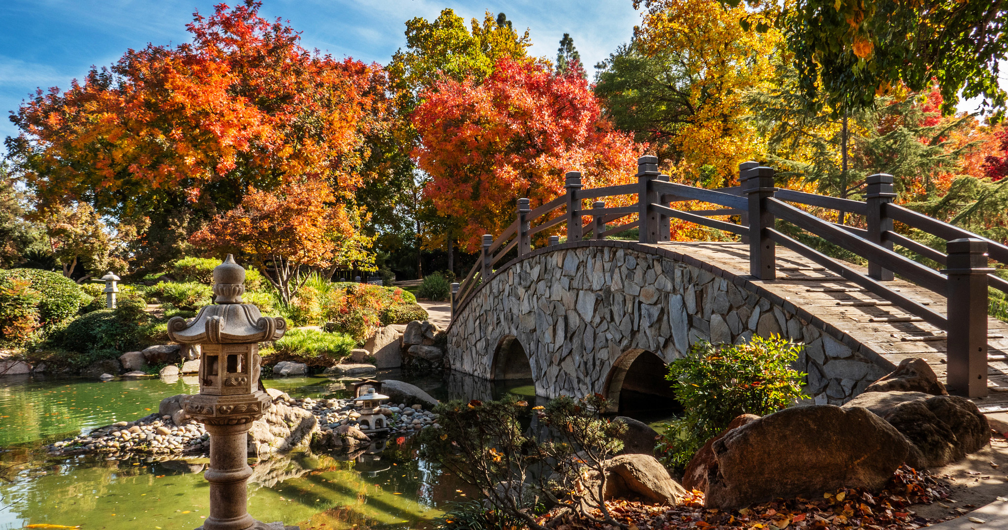 a bridge and pond at a japanese garden