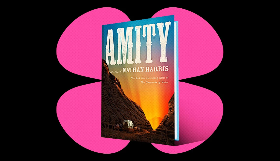 the cover of the book amity
