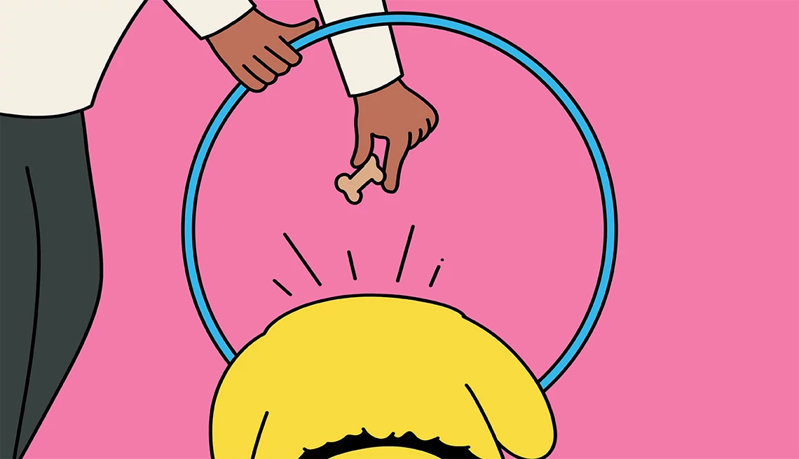 An illustration shows a pet owner holding a hoop for a dog to jump through, using a treat as enticement 