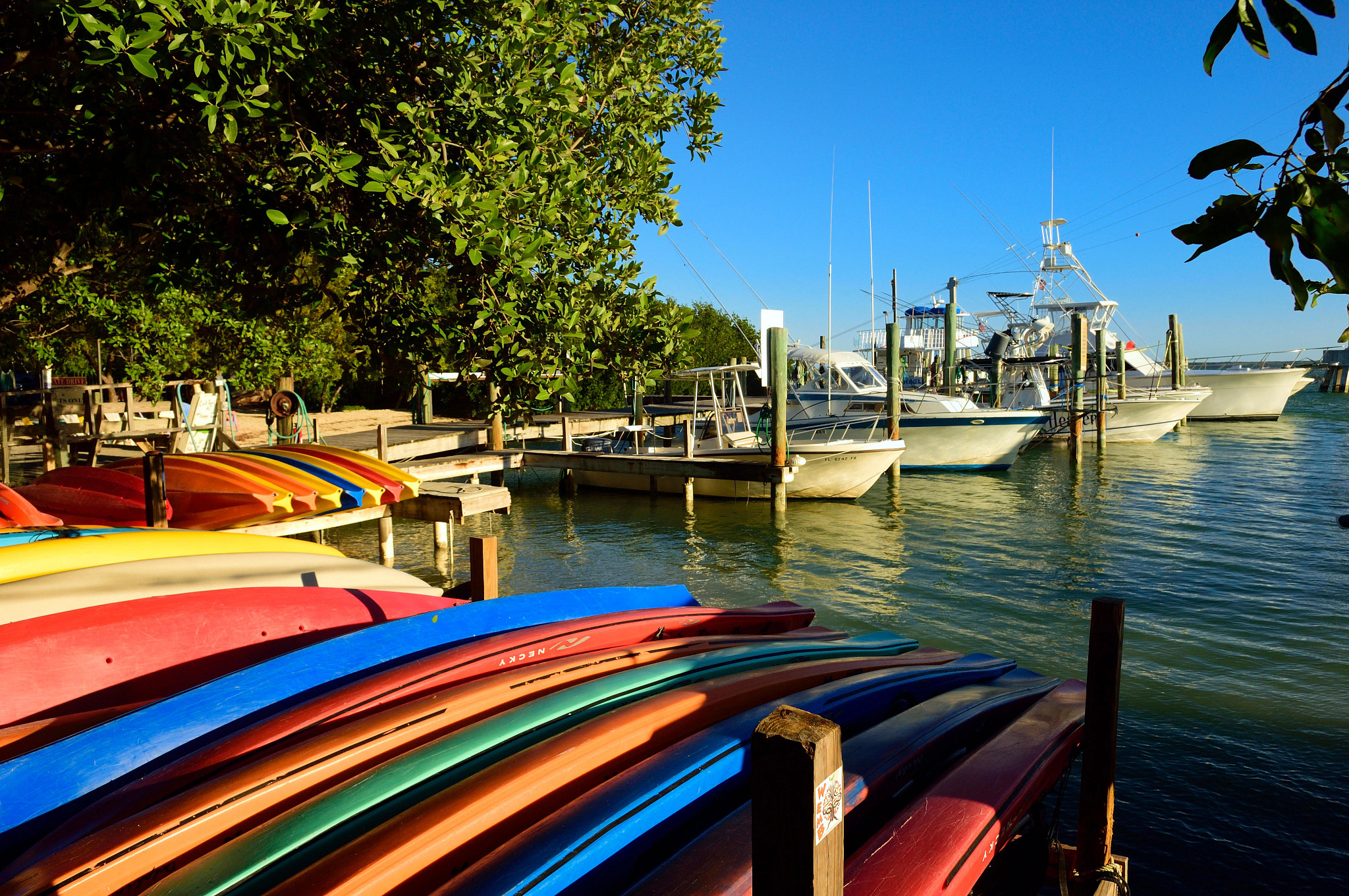kayaks and boats at a dock