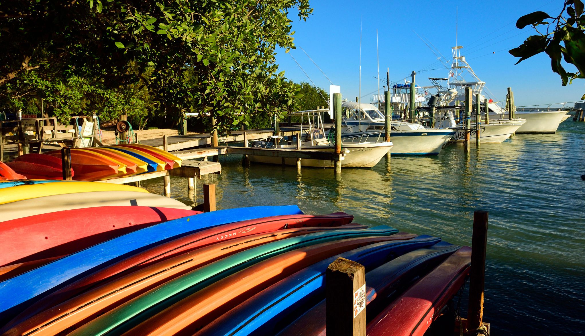 Affordable U.S. Destinations kayaks and boats at a dock
