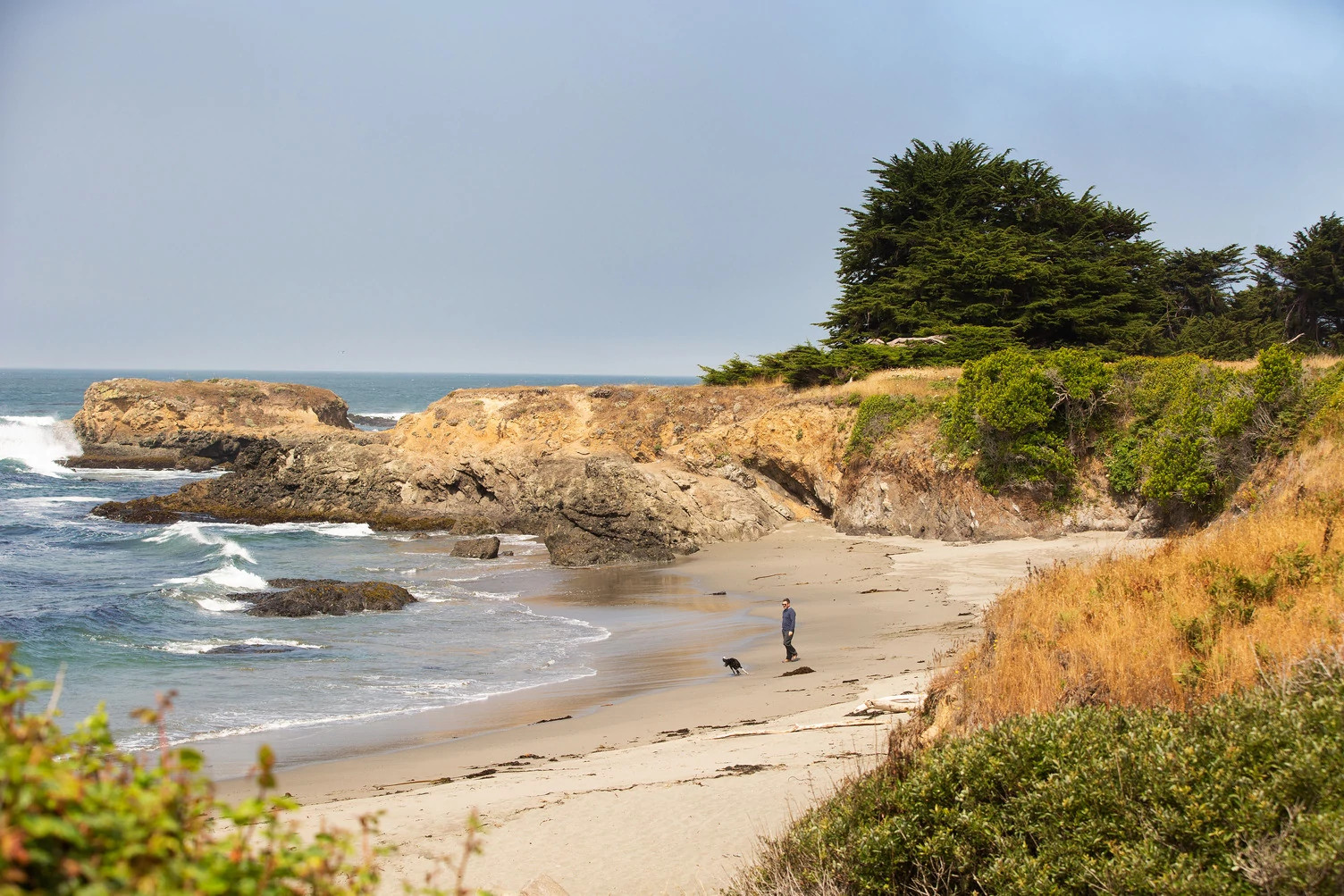 The Sea Ranch Coastal access trail