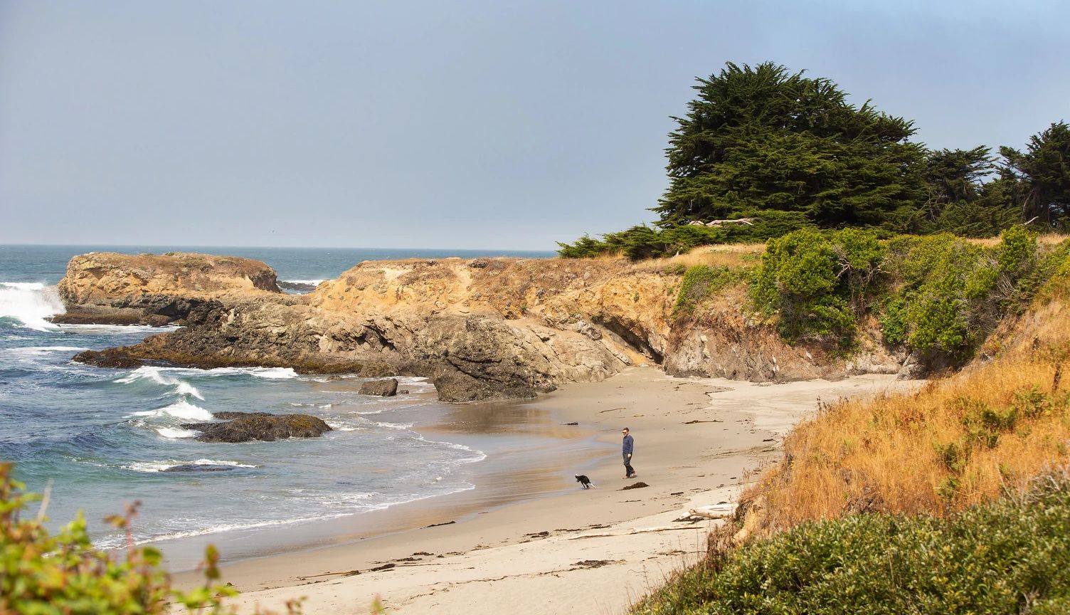 A Local’s Guide to Napa and Sonoma Wine Country The Sea Ranch Coastal access trail