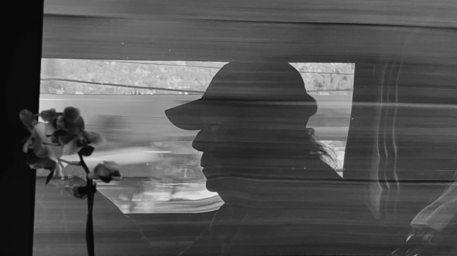 neil young, shown in silhouette, while riding inside a vehicle