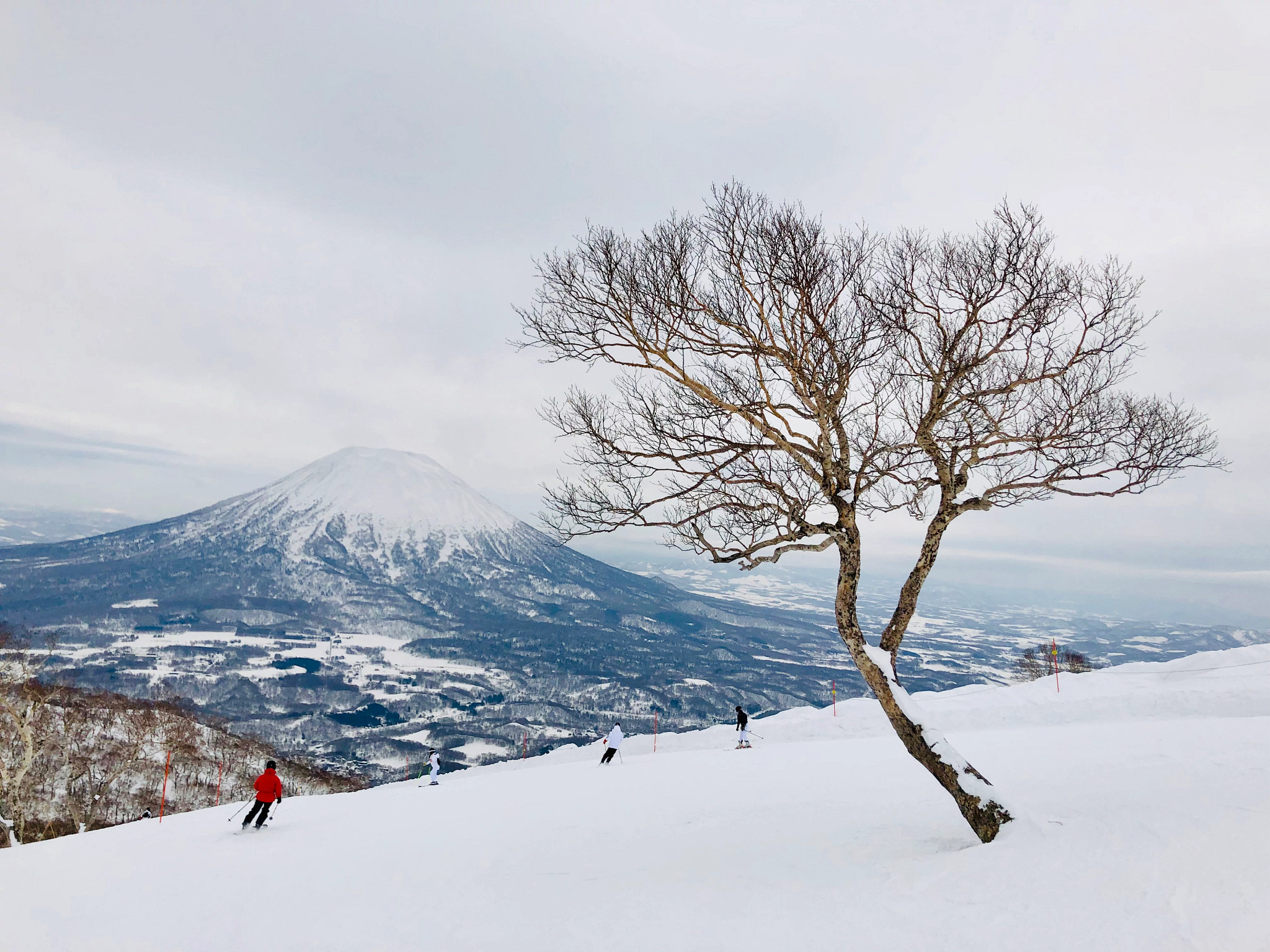 people skiing down a snow covered mountain in japan