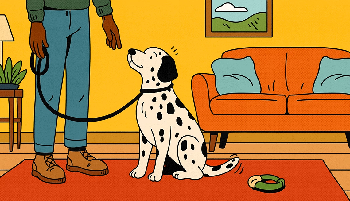 An illustration shows and older adult man standing by his couch inside his home. He is gently training a dalmatian on a leash
