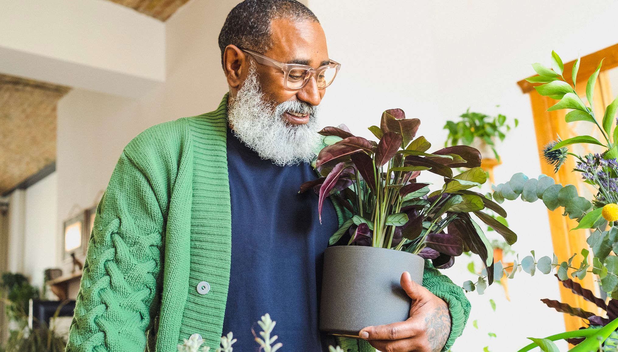 man examines a potted plant