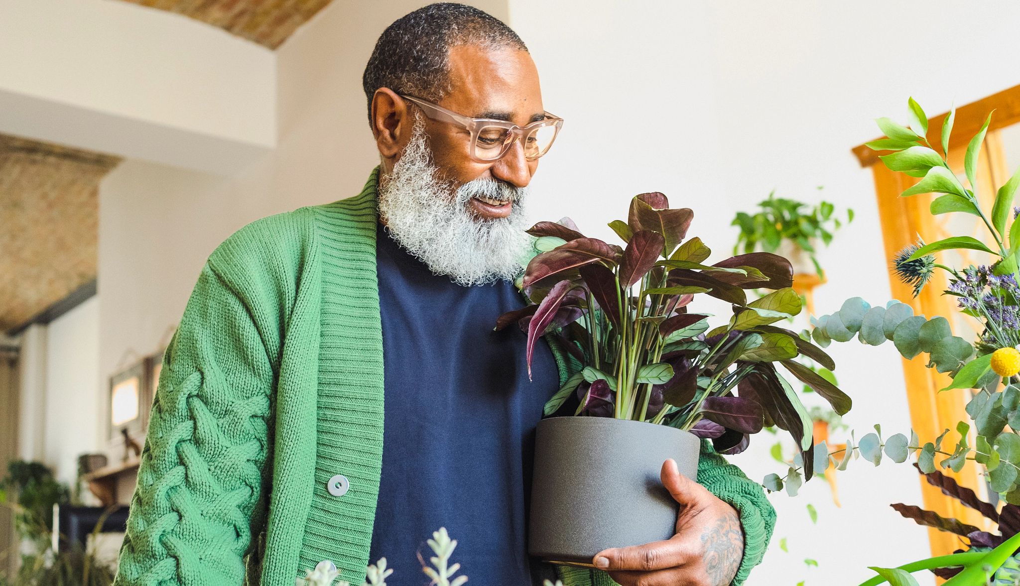 Smart Guide: Indoor Plants A photo shows an older adult man in a green sweater smiling with a potted plant in his arms inside his home.