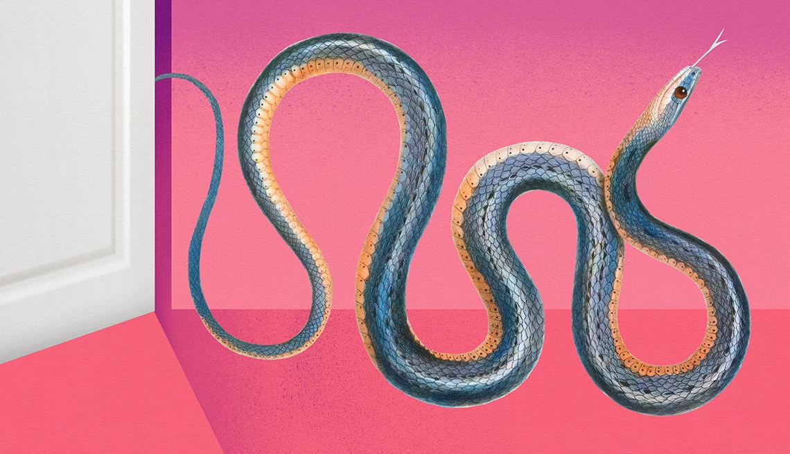 if you suspect snakes, consider hiring a professional to remove thm an illustration of a snake