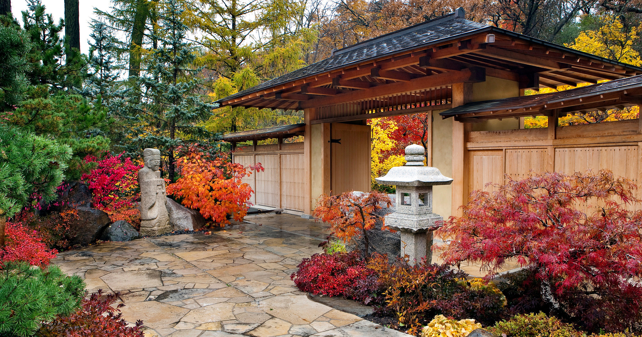 fall foliage at a japanese garden