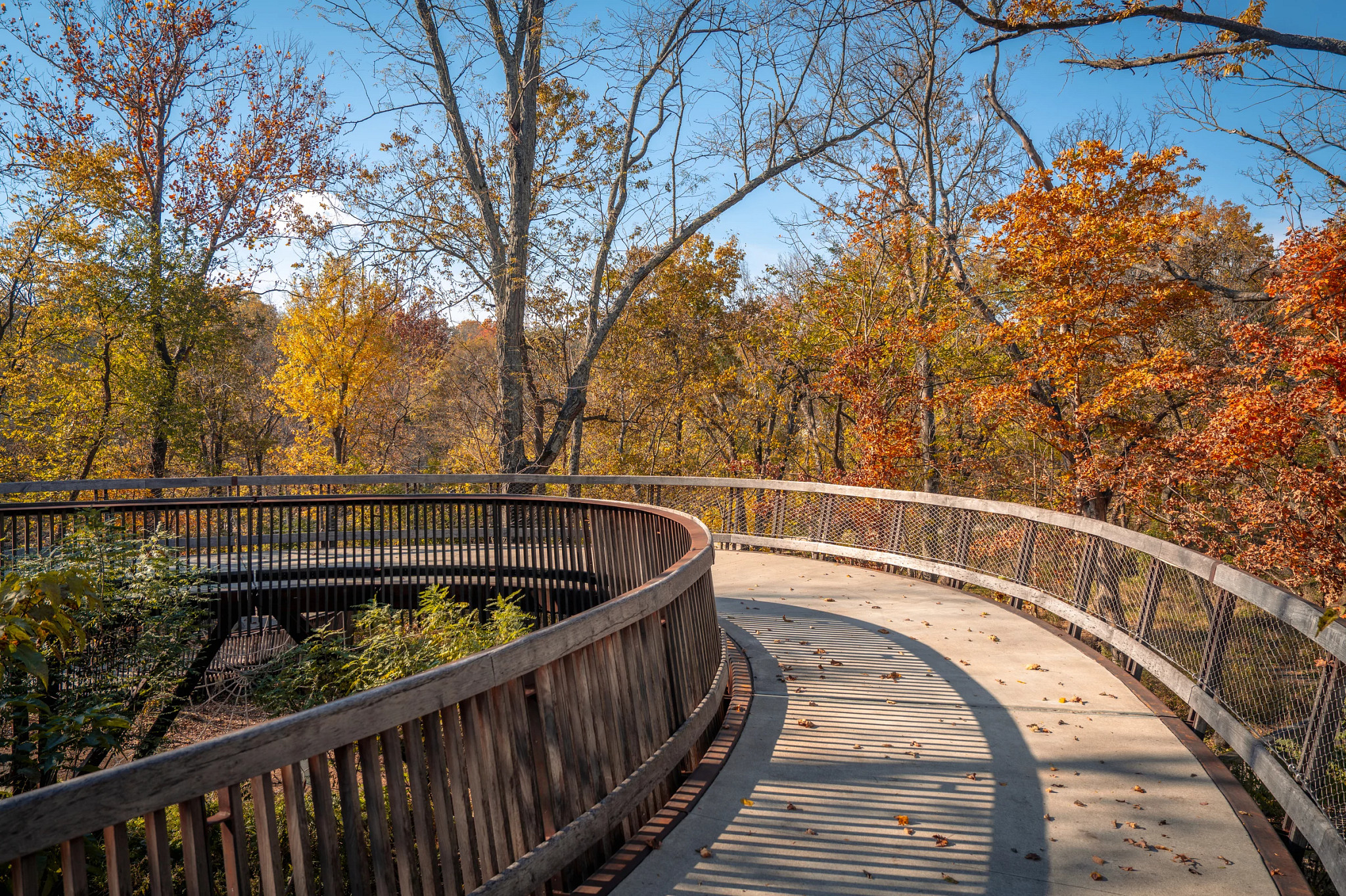 a path with trees in the background in Fayetteville, Arkansas