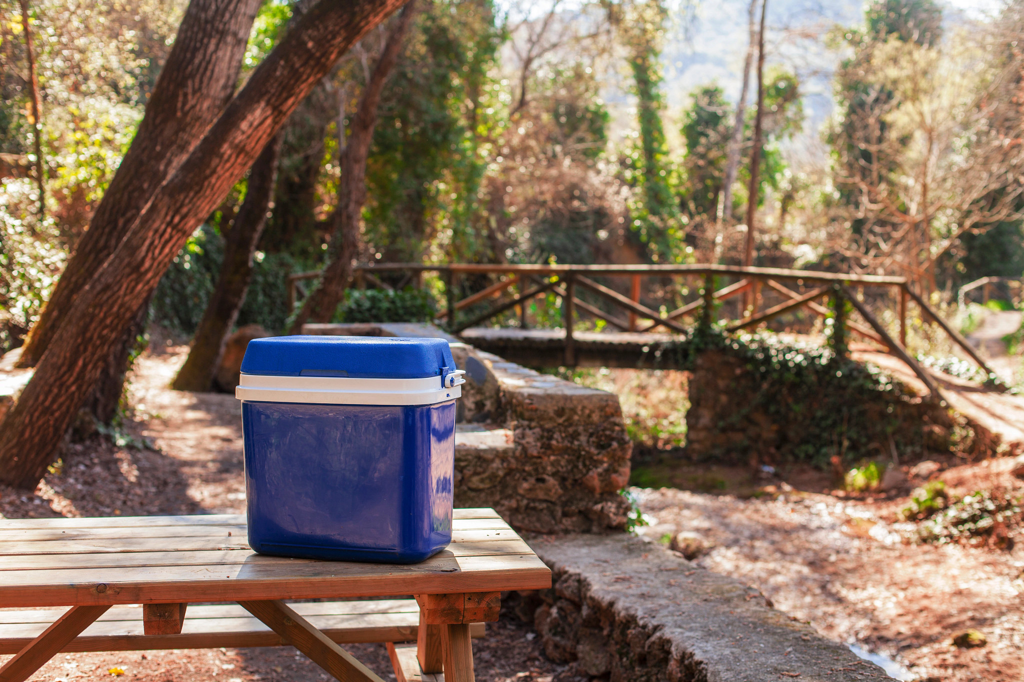 a cooler sitting on a table of a camspite