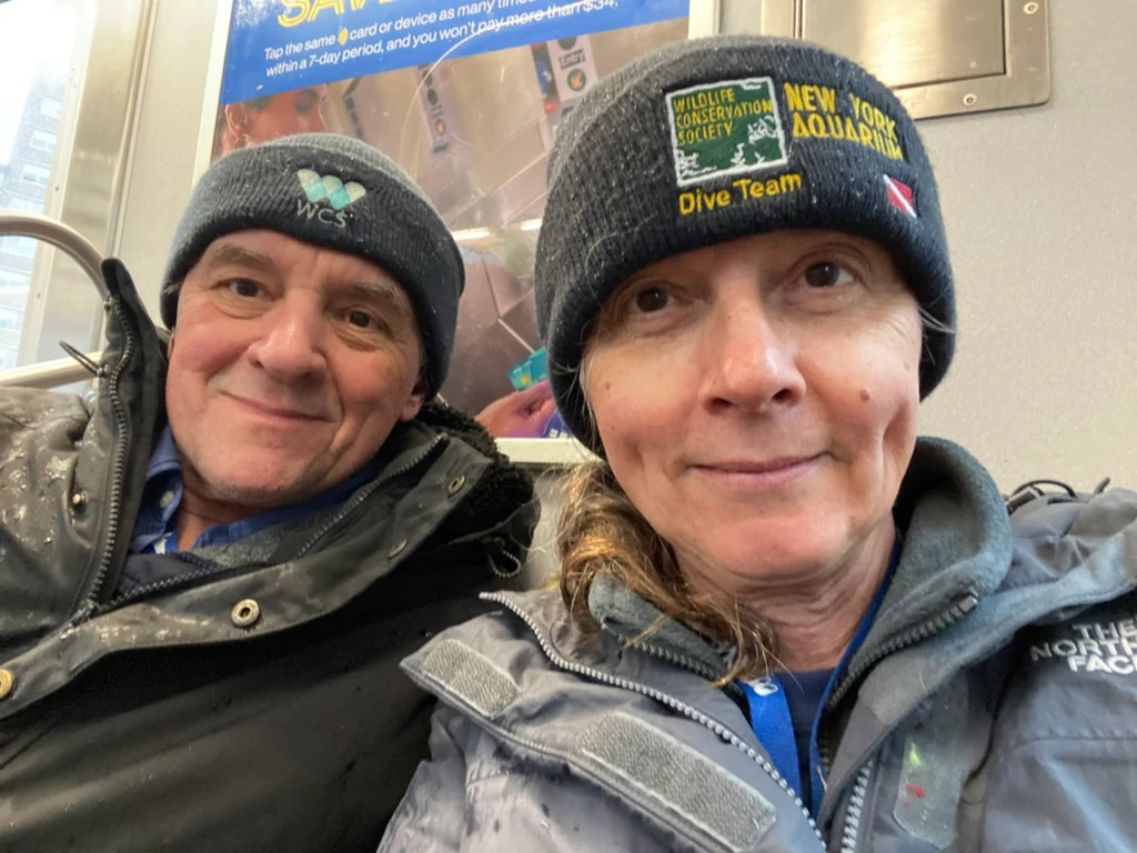 A photo shows George Babiak and Vanessa Valdes wearing Wildlife Conservation Society and New York Aquarium ski caps