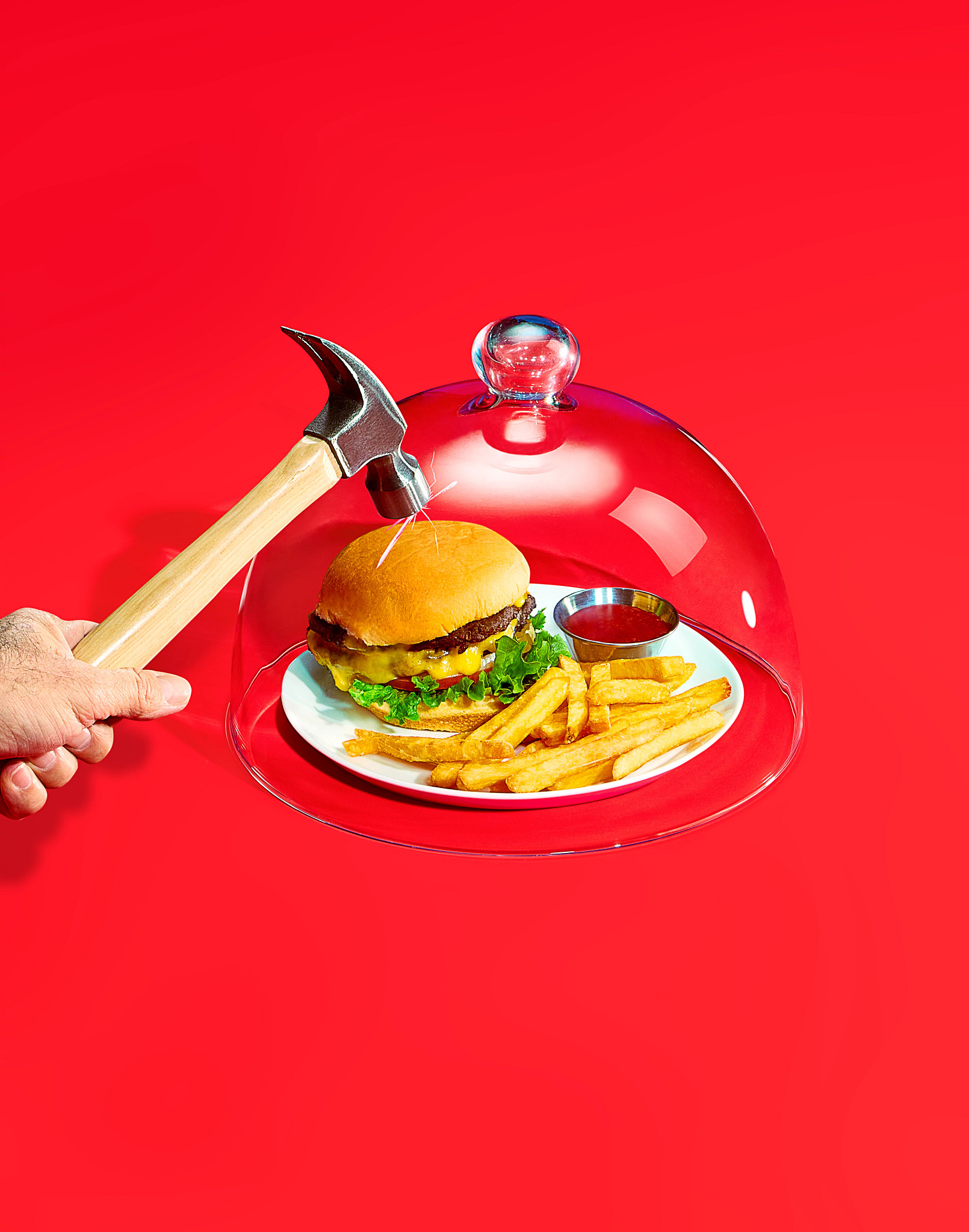 burger under glass dome