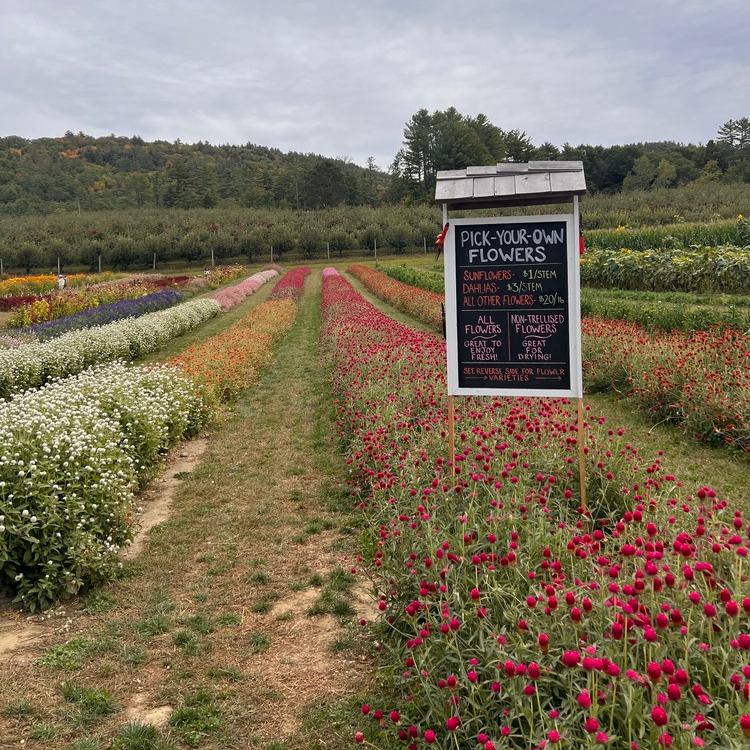Riverview Farm was established over 40 years ago Riverview Farm