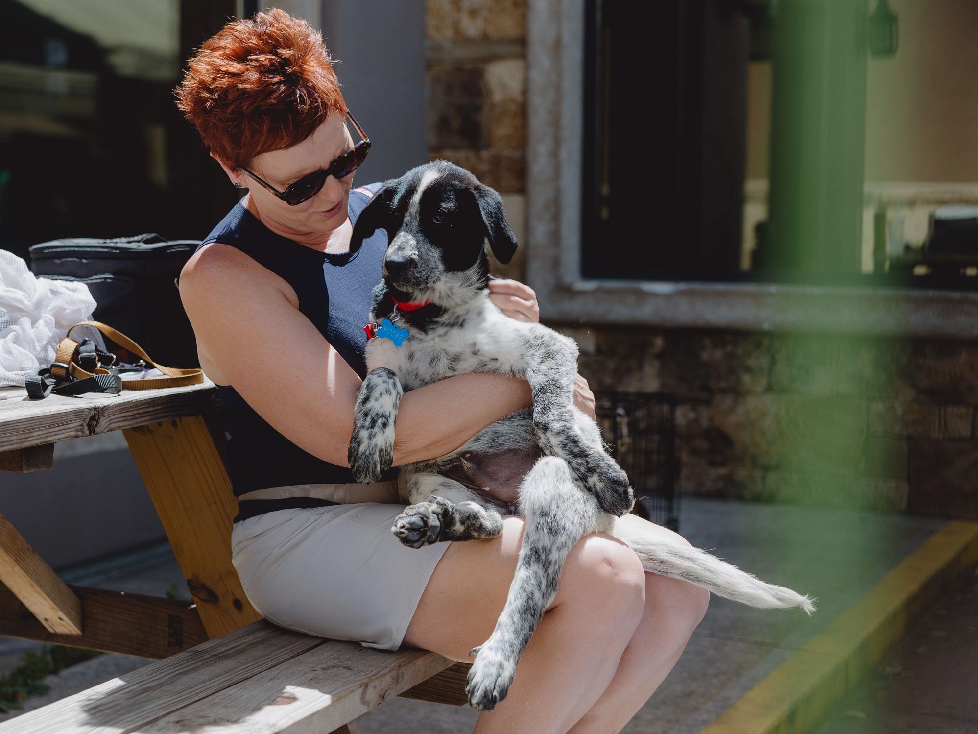 Dog Rescue Rewards Older Dogs and Older Adults Can Make a Great Match