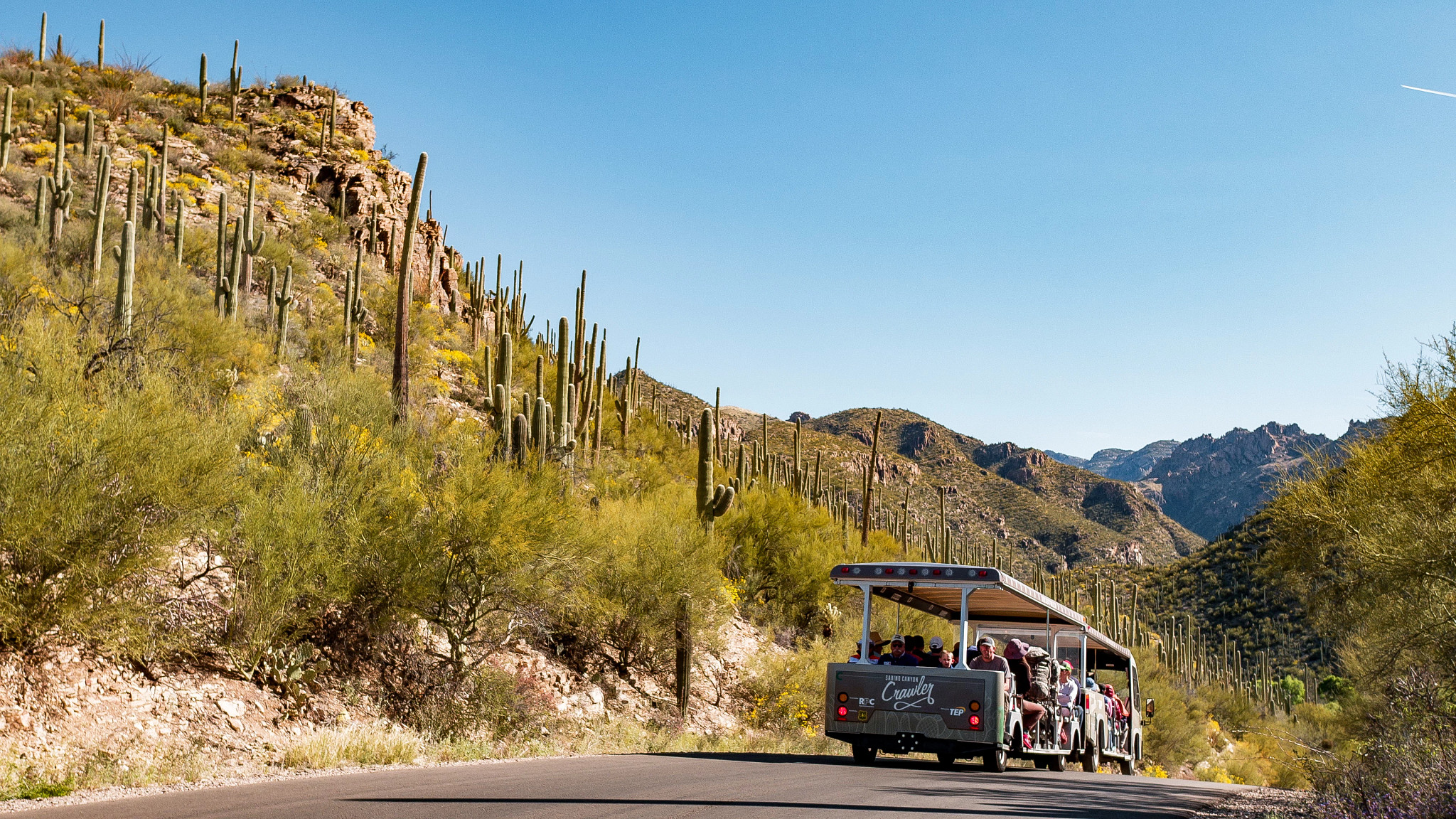 vehicles transport visitors in Coronado National Forest in Tucson, Arizona