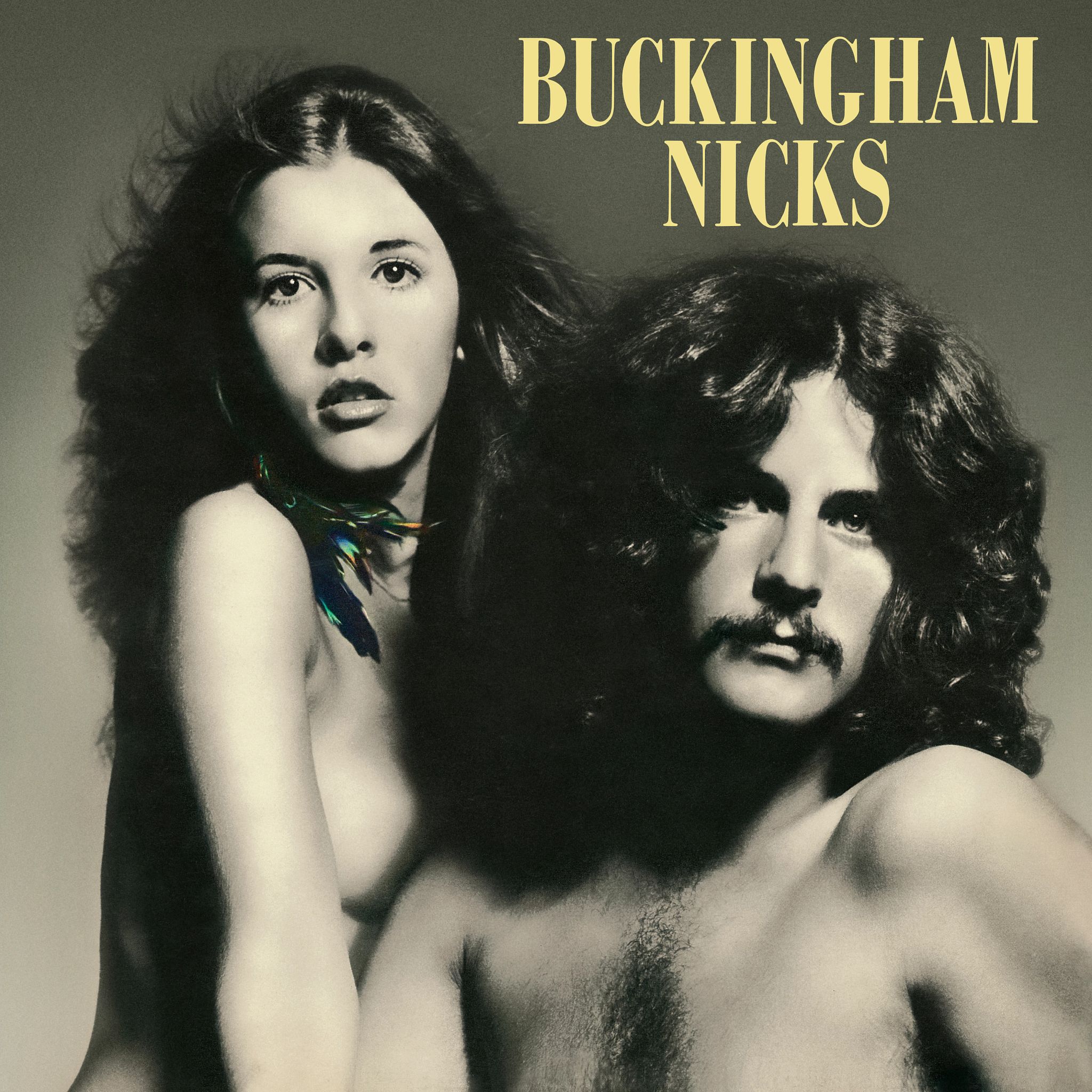 Stevie Nicks Delays Tour After Injury the cover of the record buckingham nicks