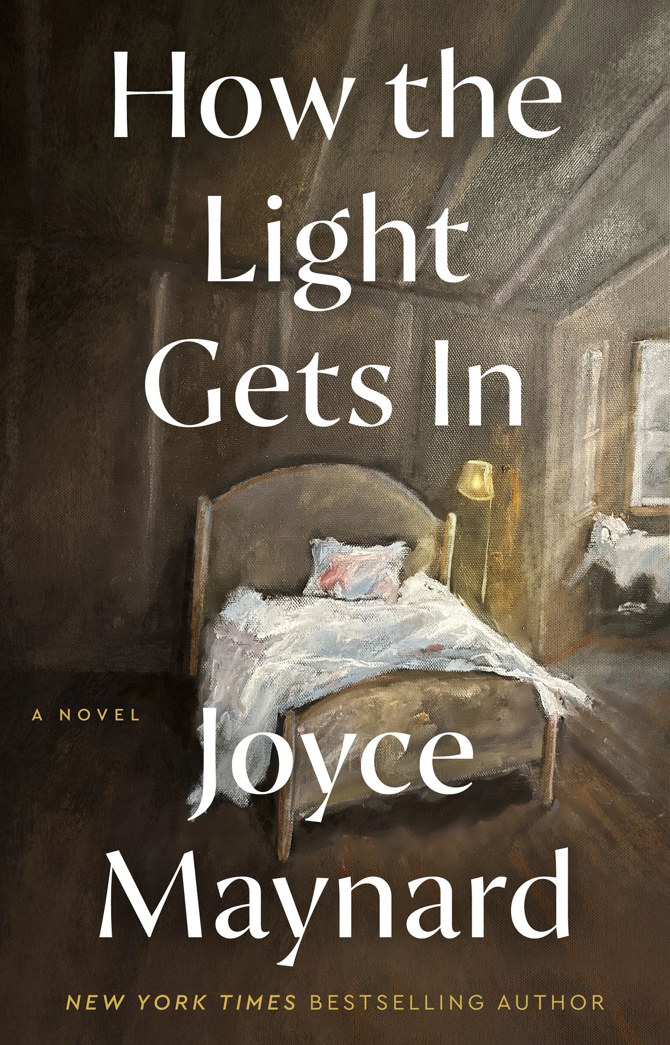 Great Reads Now in Paperback the cover of the book how the light gets in