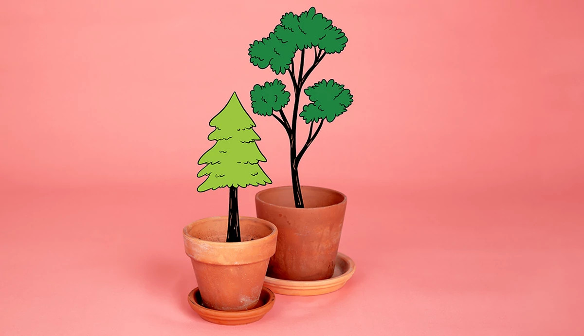 Two plants in clay pots on a salmon colored background.