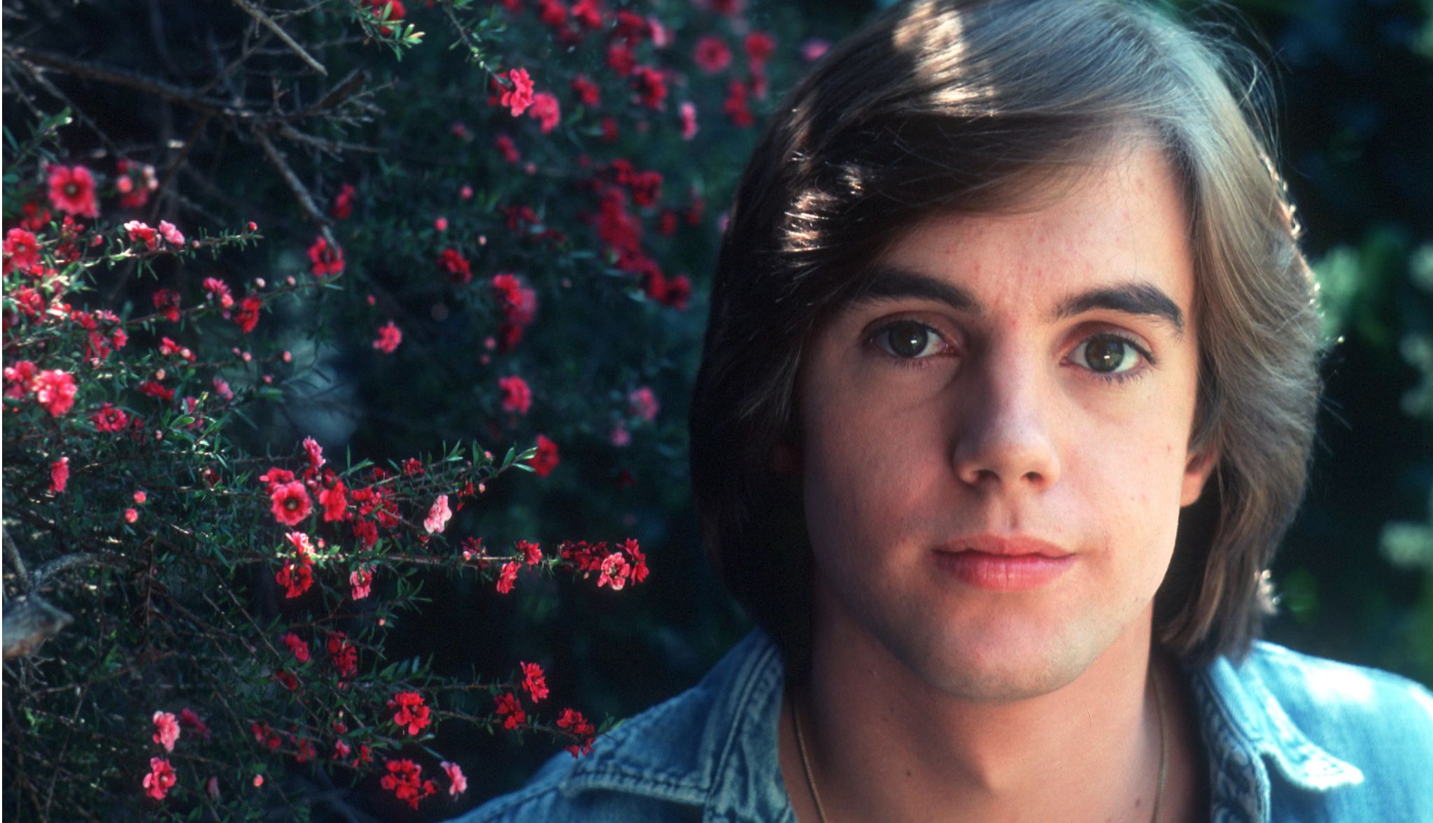 At 66, Shaun Cassidy Tells All shaun cassidy as a young person