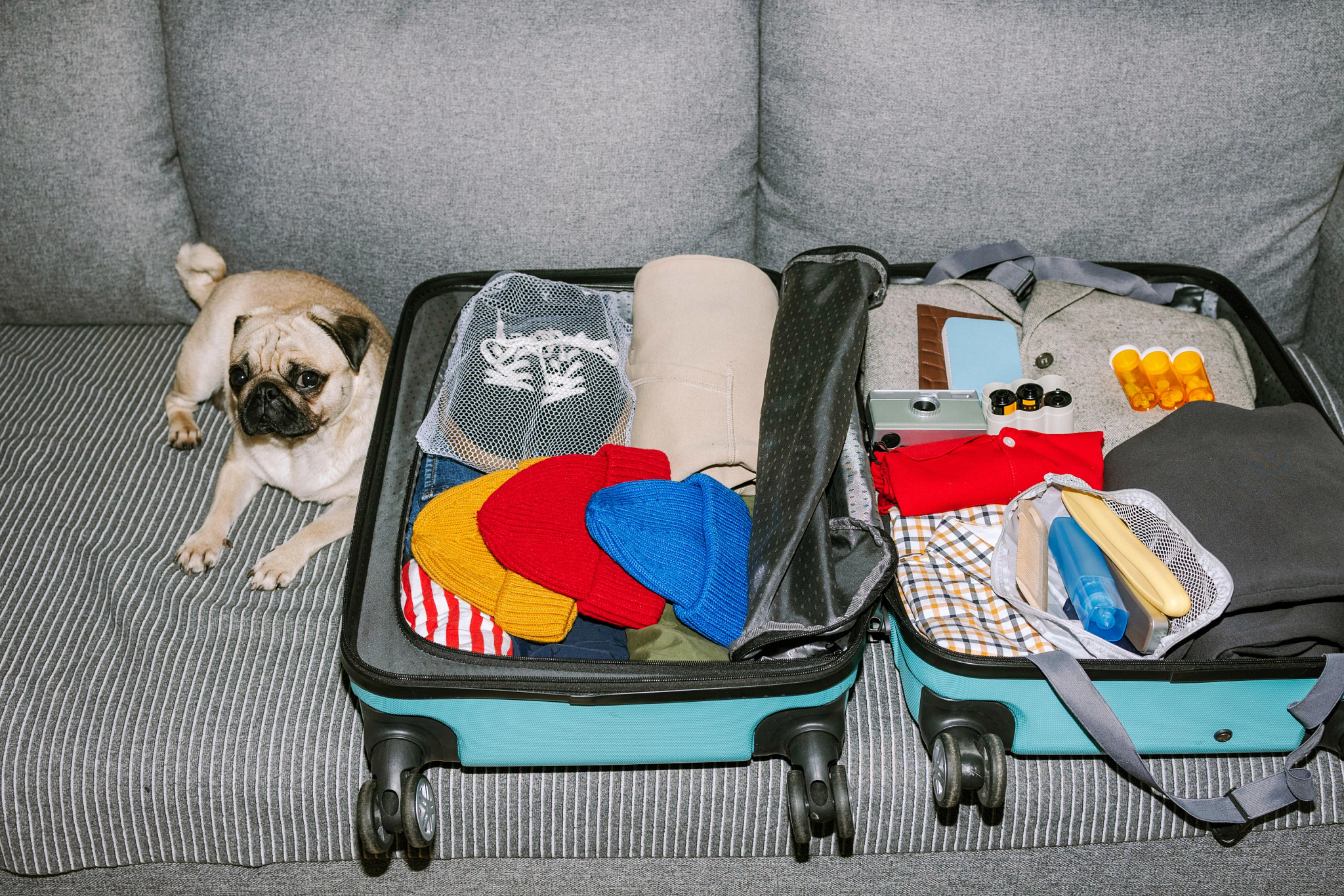 a dog sitting next to an open suitcase