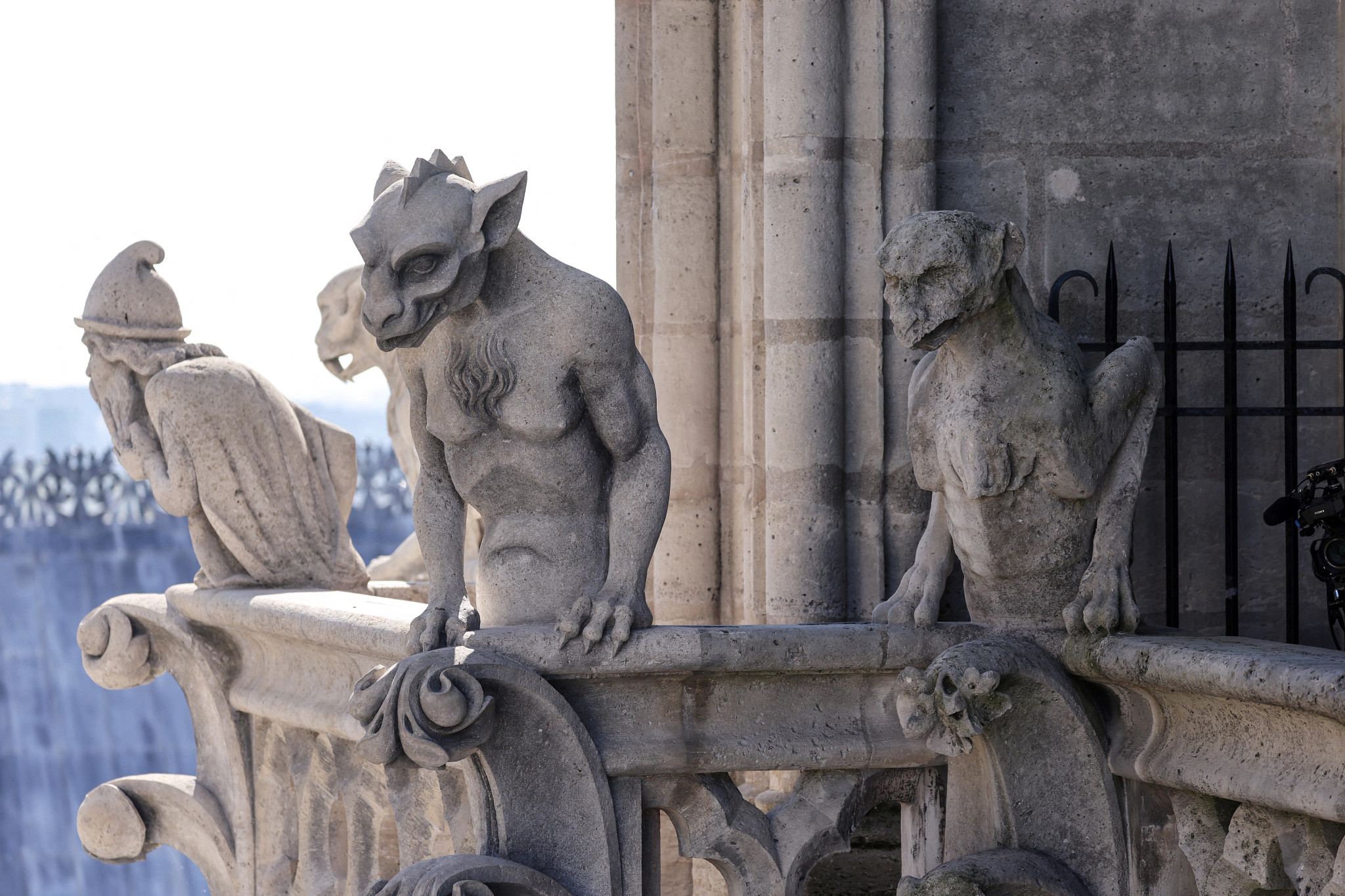 gargoyle statues at notre-dame cathedral