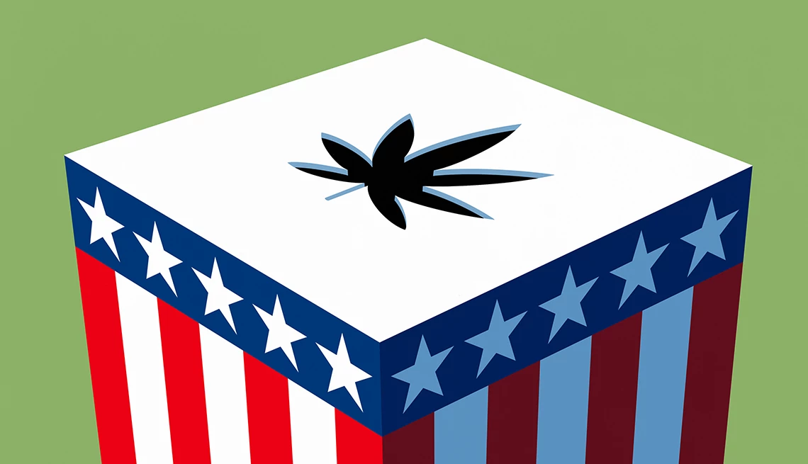 Caja electoral con la forma de una hoja de marihuana en la tapa.