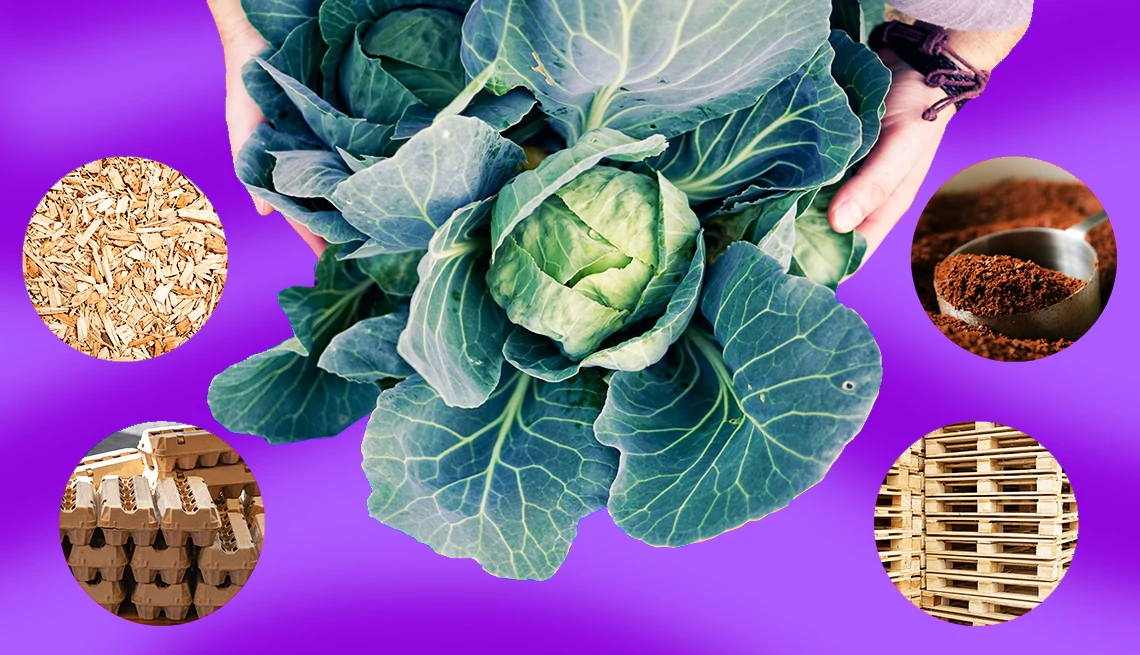 Find Free Garden Supplies A photo illustration shows a man holding greens on a purple background. He’s surrounded by four circles picturing wood chips, egg cartons, coffee grinds and wooden pallets.