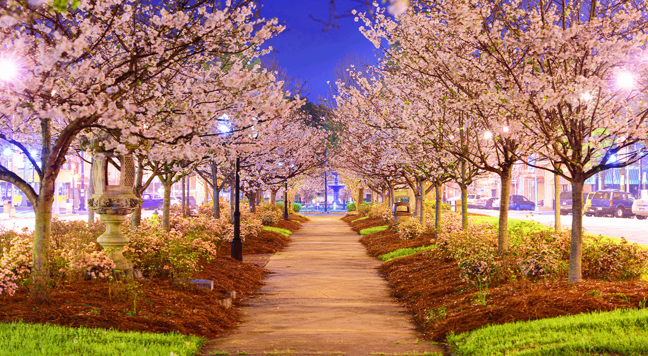 5 Best Solo Vacations For Getting Away From It All, image size:1280x704