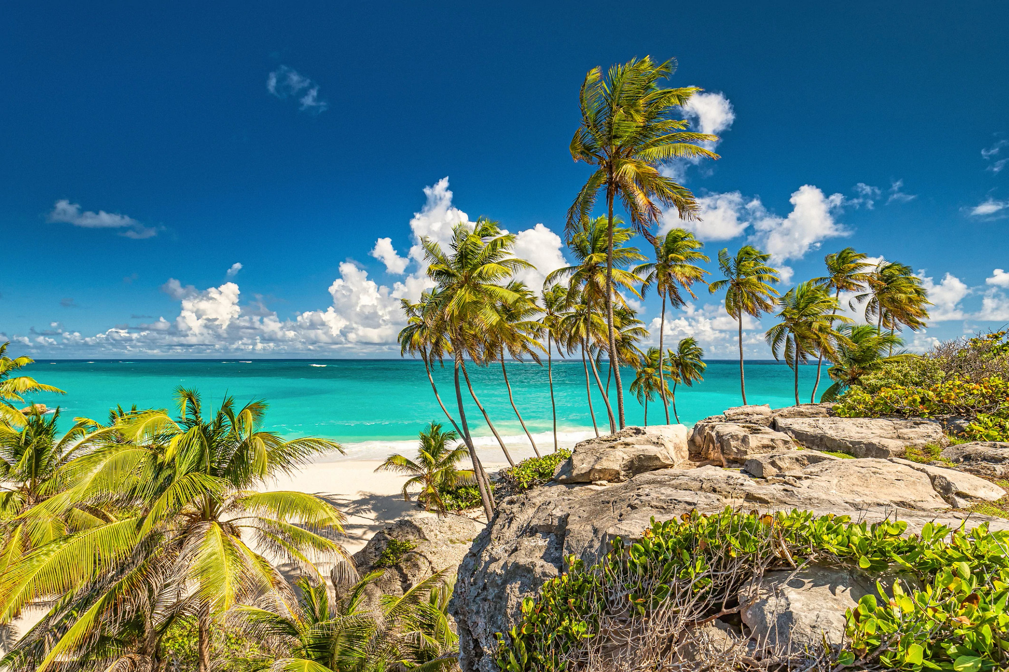 a view from a small cliff on a beach in Barbados