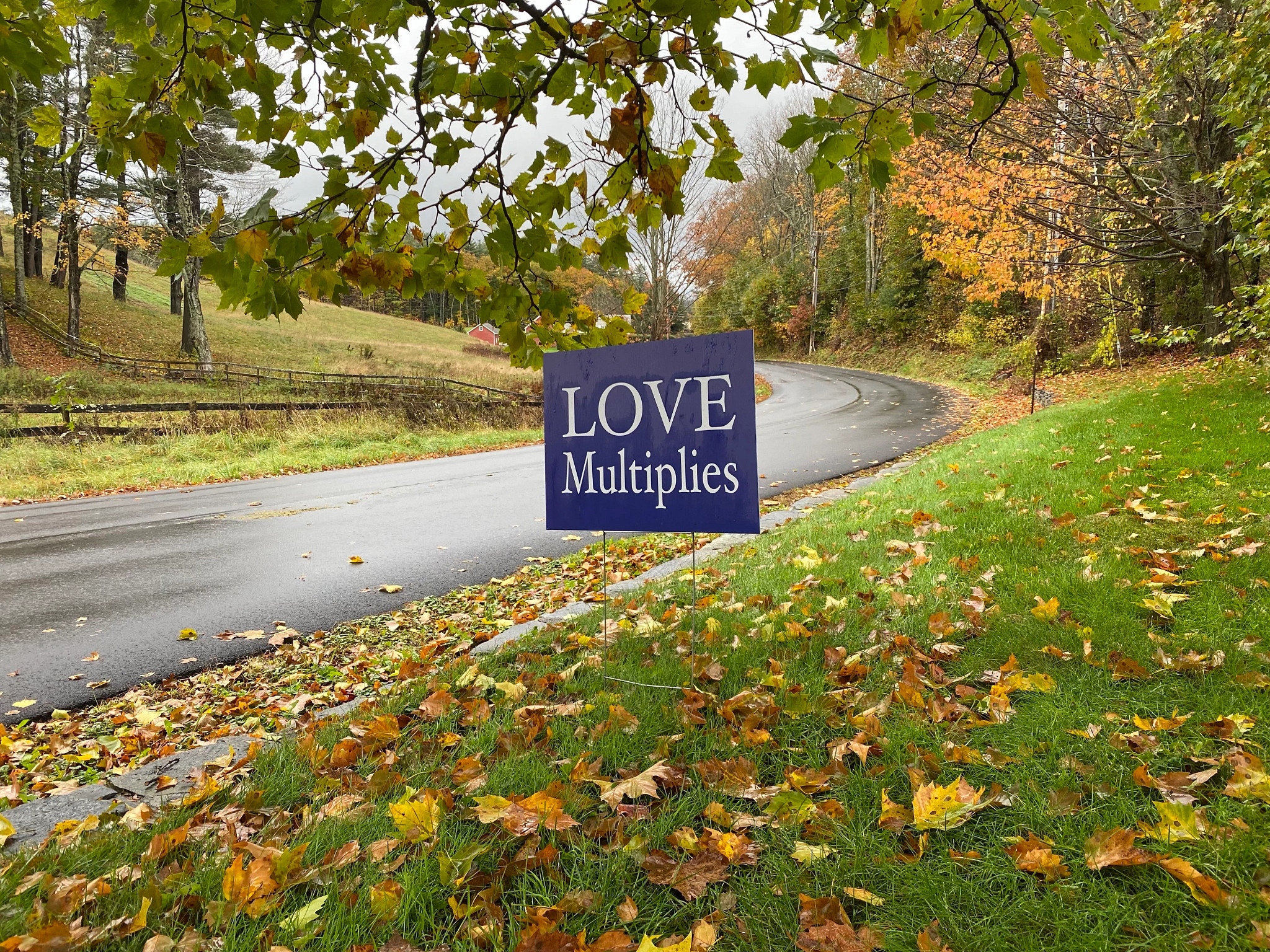 a lawn sign beside a street that reads love multiplies in white text on a dark blue background