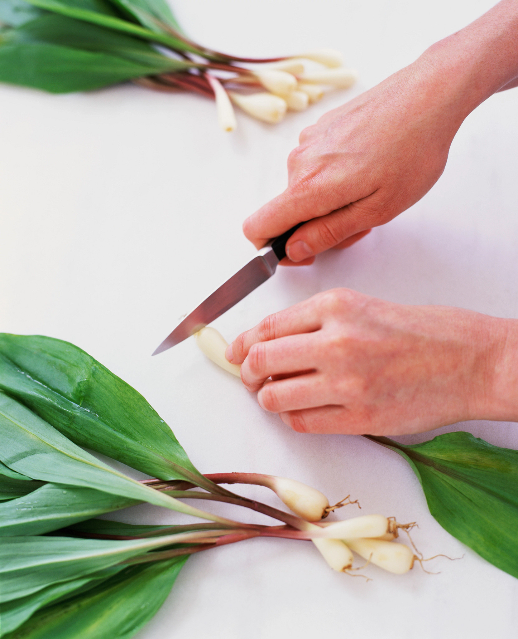 Image of Let's Get Cooking with AARP WV and Chef Paul!