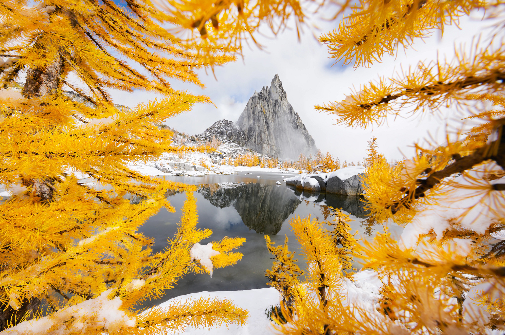 Photo of winter wonderlands
