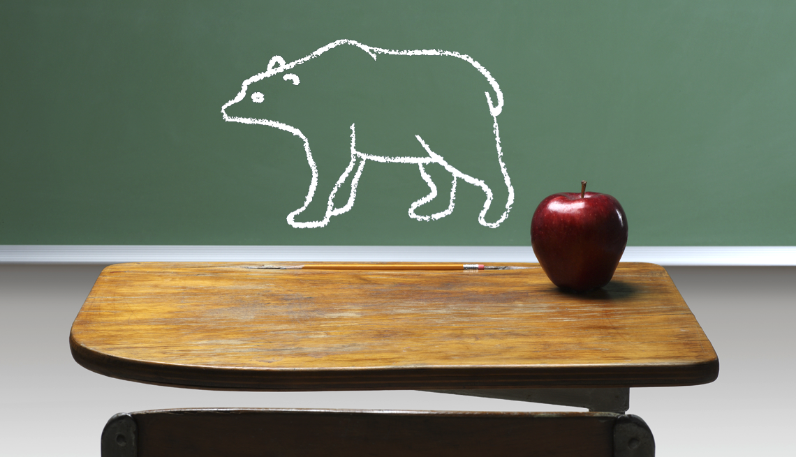 Lessons from past bear markets a bear outline on a chalkboard with an apple on a desk