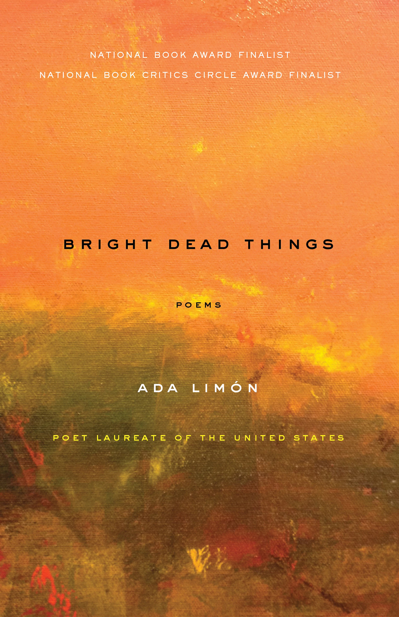 the cover of the book 'Bright Dead Things'