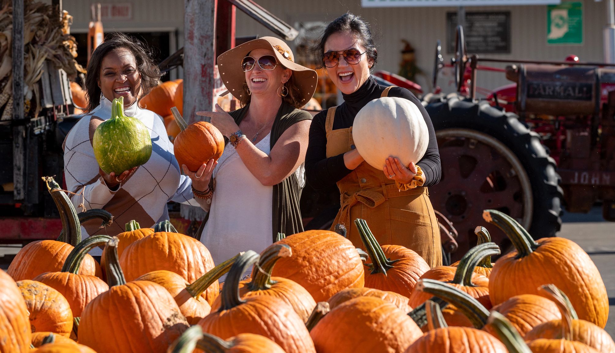 Charming pumpkin patches in Indiana people walking at a pumpkin patch