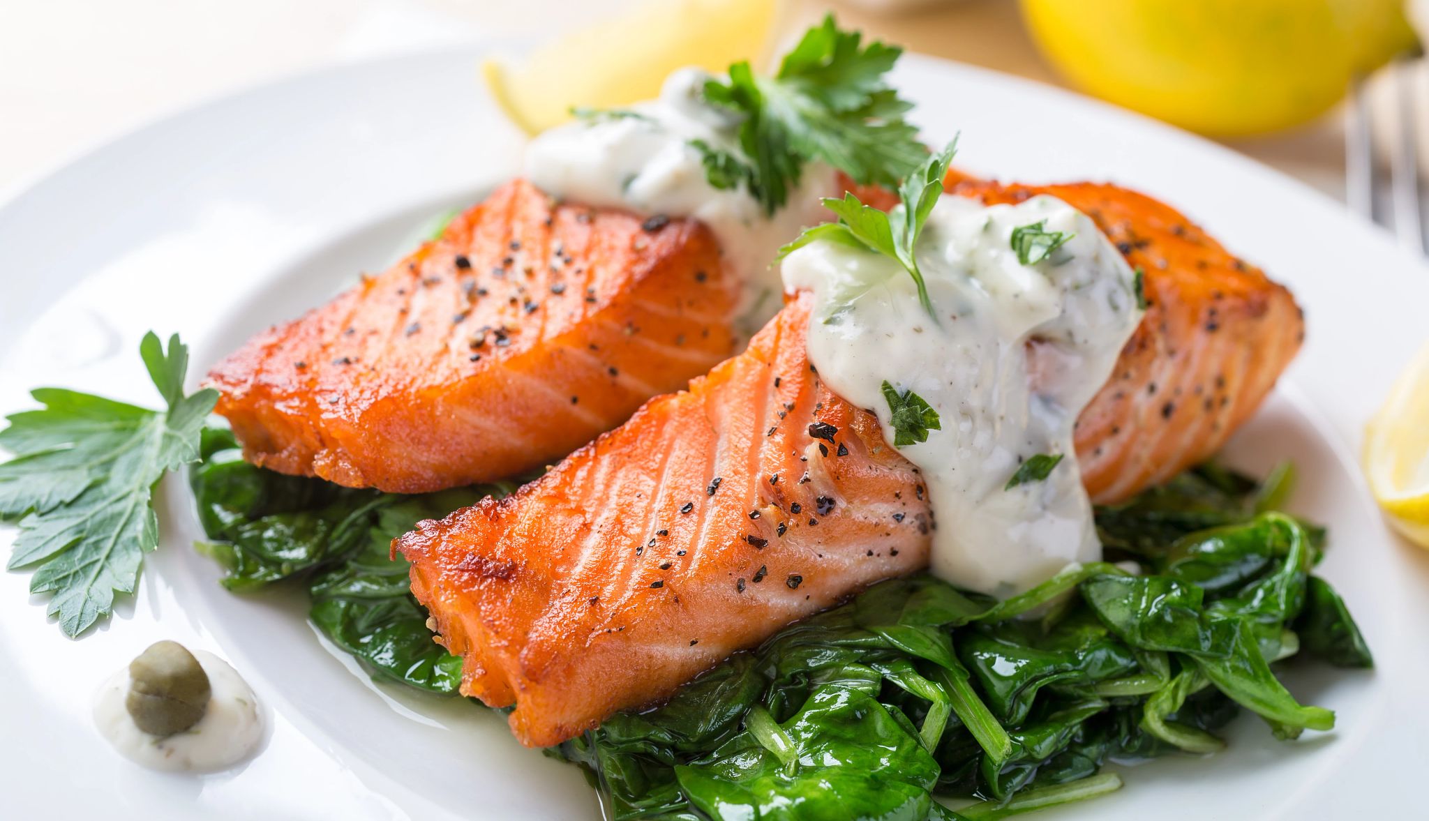 salmon on a bed of greens