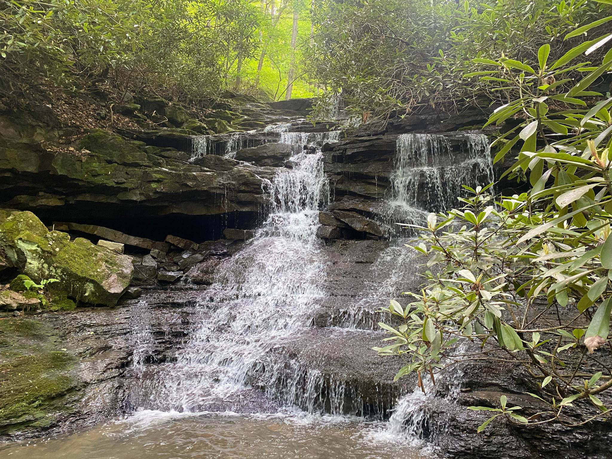 a waterfall in Ohiopyle State Park 